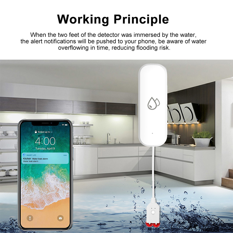 Tuya WiFi 水漏れ警報センサー スマートホーム 水漏 - Smart Home News のレビューと価格